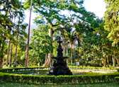 Jardim Botanico
