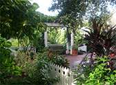 Harry P. Leu Gardens