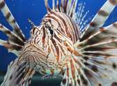 National Aquarium
