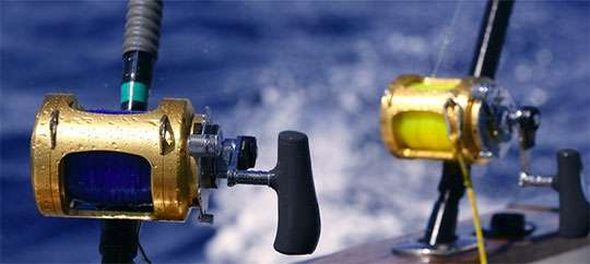 Deep Sea Cancun Fishing and Charter