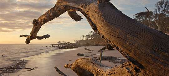 Big Talbot Island State Park