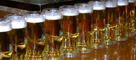 The Bier Garden