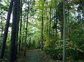Greenway Trails
