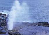 Spouting Horn
