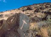 Petroglyph National Monument Visitor's Center