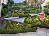 Lombard Crooked Street