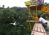 Tropical Bungee