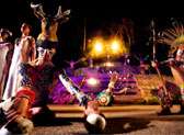 Rhythms of the Night—Vallarta Adventures