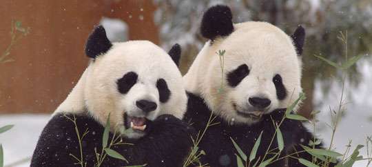 National Zoo