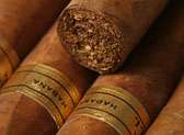 Santo Domingo Cigar Club