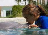 Miami Seaquarium