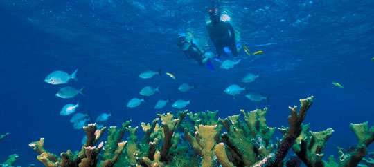 Biscayne National Park
