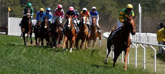 Carolina Cup & Colonial Cup Horse Races