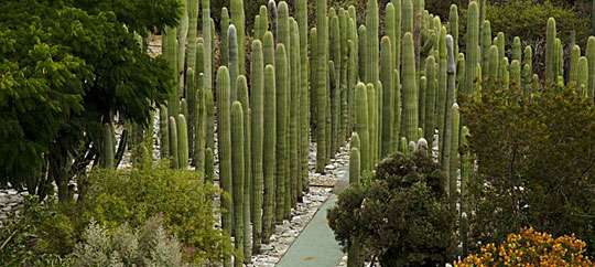 botanical gardens