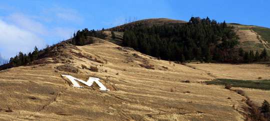 "M" Trail