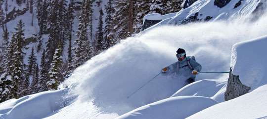 Ski Jackson Hole Powder