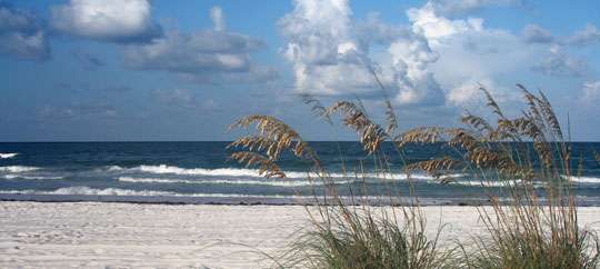 Florida beach