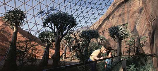 Desert Dome Omaha