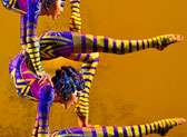 Cirque du Soleil