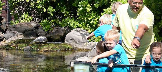 Interactive exhibits at the aquarium