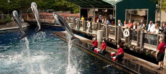 Vancouver Aquarium