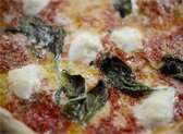 Antico Pizza