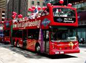 Gray Line Bus Tour