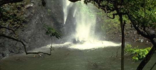 Kayak Kauai Secret Falls