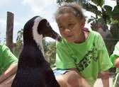 Tampa's Lowry Park Zoo