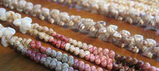 Kauai Museum Gift Shop