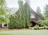 Conrad Mansion