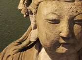 Dragon Culture