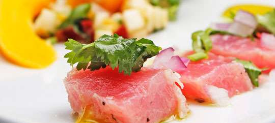 Agave Latin Bistro