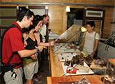 Escazu Artisan Chocolates