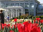 Lewis Ginter Botanical Garden