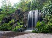 Singapore Botanic Gardens