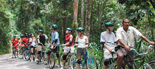 Blue Mountain Bike Tours