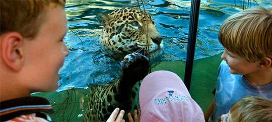 Woodland Park Zoo