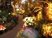 Manito Park