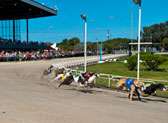 Sarasota Kennel Club