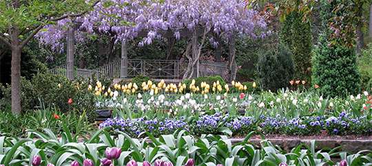 Sarah P. Duke Gardens, Durham, Duke University, North Carolina, Alice Le Duc