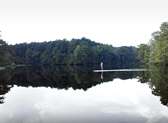 Stand-up Paddleboard Tour with Carolina Paddle Co.