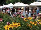 Cherry Creek Farmer's Market