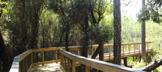 Panama City Beach Conservation Park
