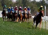 Carolina Cup & Colonial Cup Horse Races