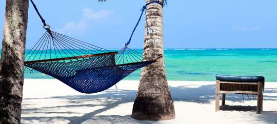 Hammocks