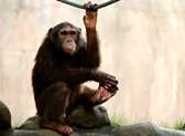 Global Wildlife Center
