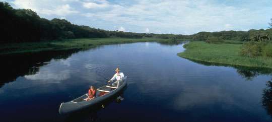 Myakka River State Park