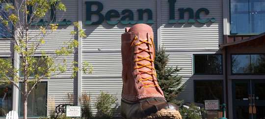 L.L. Bean