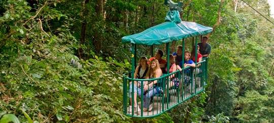 Rainforest Adventures